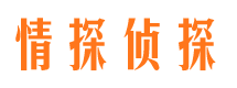 平阳婚外情调查取证